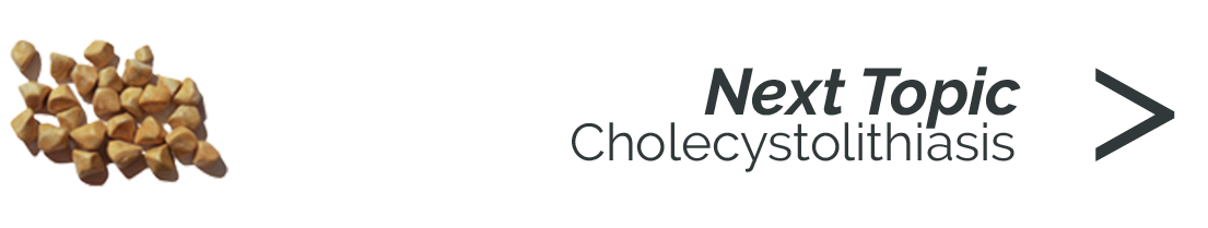 Cholezystolithiasis